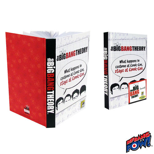 big bang theory journal
