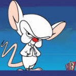 brain TN