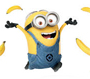 Minion TN