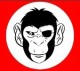 spymonkey tn